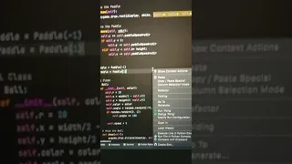 Playing ping pong game in using python code