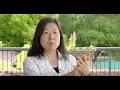Teaching with Technology Active Learning Strategies