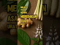 Download Lagu 5 Rebusan Ini Bantu Redakan Asam Urat. #hidupindah