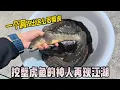 Download Lagu 去年挖蟹虎魚的神人再現江湖 壹個洞挖出這麽多蟹虎，把我驚呆了，妳們有見過這種情況嗎#viralvideos #抓魚 #護外