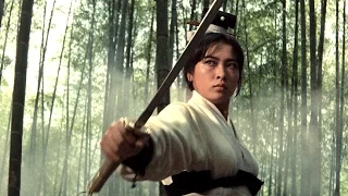 A TOUCH OF ZEN Bande Annonce
