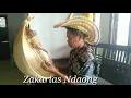 Download Lagu Instrumen Lagu Indonesia Tanah Air Beta