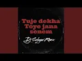 Download Lagu Tuje Dekha Toye Jana Senem (Remix)