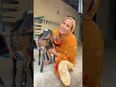बोल बकरी में 🤣🥰#shorts #viral #trending