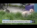 City of Findlay to address growing feral cat population through Trap-Neuter-Return program