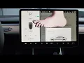 New Tesla Easter Egg Monty Python Squashes v10 Bugs