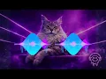 TOP Dance Music 2026 🎧 MelltdownMix #Set31 💥 POPULAR SONG REMIXES 💥