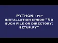 PYTHON pip installation error No such file or directory setup py