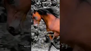 حين تكتشف ان الزمان ليس زمانك وان المكان ليس مكانك والإحساس ليس إحساسك 