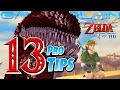 13 Pro Tips for Skyward Sword Beginner s Guide Free Shield Secret Healing Spots More