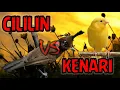 Download Lagu cililin vs kenari  || masteran favorit murai batu, kacer, ijo, konin, kapas tembak, anis