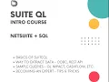 Learn SuiteQL Guide to Understanding and Querying NetSuite Data