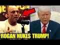 Download Lagu Joe Rogan HUMILIATES Trump, TURNS ON MAGA in VIRAL TAKEDOWN!
