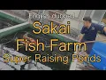 Sakai Fish Farm Super Raising Pond Super Koi Talk 1-1-English dubbed