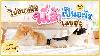 กังฟูเฝ้าพี่เส้าไม่ห่าง