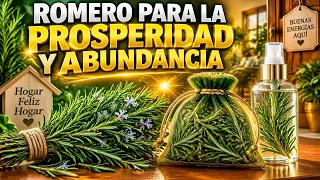Romero en Casa Que Activa Prosperidad Abundancia y Energía Positiva.