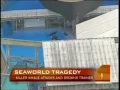 Killer Whale Grabs Drowns Trainer