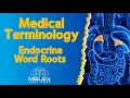 Medical Terminology - Endocrine Word Roots