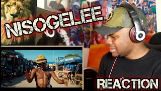 navy kenzo nisogelee official video reaction