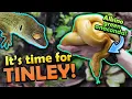 Going to the HUGE Reptile Show in Tinley NARBC 2025