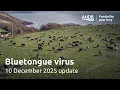Bluetongue virus update - 10 December 2025 A B Webinar