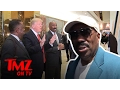 Steve Harvey What Does He Really Think About Donald Trump TMZ TV