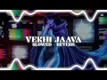 Vekhi Jaava - Bir | Slowed Reverb | Lofi | Bass Bhaiya | 