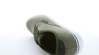            دندنها