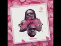 Revolution - Le chien (Audio Officiel)