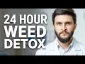 THC Detox How 24-Hour Weed Detox Actually Works
