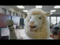 Little Ceasers Pretzel Crust Pizza It s Back Commercial 2025 Sheep Head