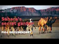 Sahara s secret garden SLICE Full documentary