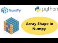 Array Shape in Numpy Python Numpy Array Shape Numpy Shape of Array Numpy Tutorial