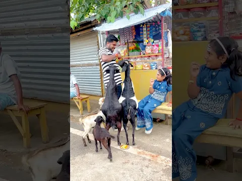 ❤️ ছাগলগুলোকে খাওয়াতে গিয়ে যে অনুভূতি পেলাম, সত্যিই অসাধারণ! 🐐 #shorts #song #humanity #bangla