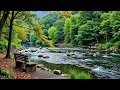 Beautiful Relaxing Music Stop Overthinking Stress Relief Music Sleep Music