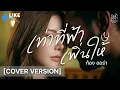 เท่าที่ฟ้าเพิ่นให้ - ต่าย อรทัย Cover By ก้อง ออร่าAurAIa【LIVE SESSION COVER】
