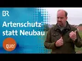 Download Lagu Fehlkauf in Regensburg? Bauland entpuppt sich als Biotop | quer vom BR