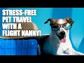 Discover the Ease of Pet Travel with a Professional Flight Nanny