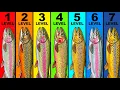 Every Level of Trout Fishing Difficulty Explained