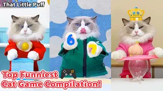 Top Funniest Cat Game Compilation！ 🎮🕹️| That Little Puff