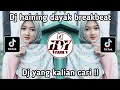 Download Lagu DJ HAINING DAYAK BREAKBEAT VIRAL TIKTOK TERBARU 2023 || DJ FYP TIKTOK TERENAK