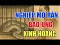Lagu NHÂN QUẢ BÁO ỨNG : NGHIỆP BÁO NGHỀ MỔ RẮN LÀM GIÀU NGHE KỂ RỢN NGƯỜI NGHIỆP BÁO ĐÁNG SỢ
