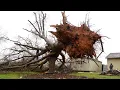 Tornado touches down in Kannapolis uprooting trees and damaging homes