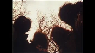 THE YELLOW MONKEY - Bulb