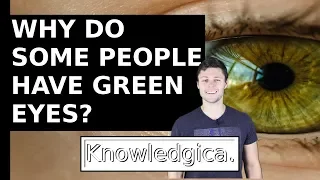 Download Why Do Some People Have Green Eyes MP3
