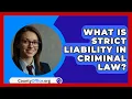 What Is Strict Liability In Criminal Law? - CountyOffice.org