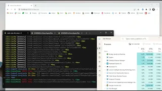 vite serve debug