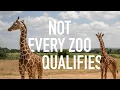 What AZA Accreditation Really Means And Why It Matters