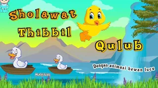 Download Sholawat Thibbil Qulub - obat segala penyakit ~ shalawat Nabi -  kartun mufti kids lagu anak islami MP3