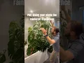 Jungle shenanigans
